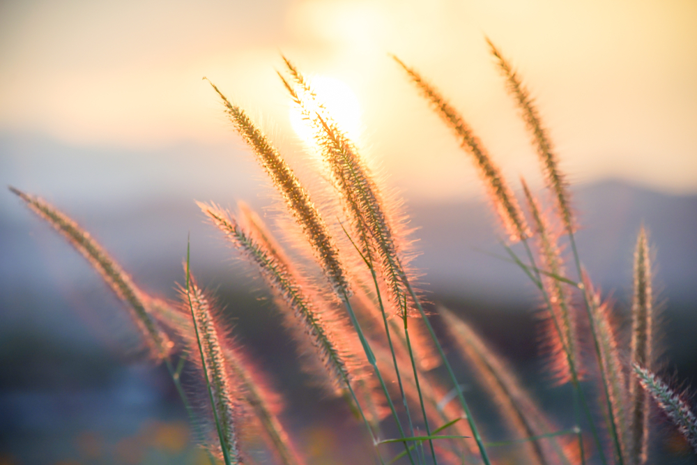 お風呂の入り方次第で運気が変わるかも?!開運できる入浴方法とコツについて