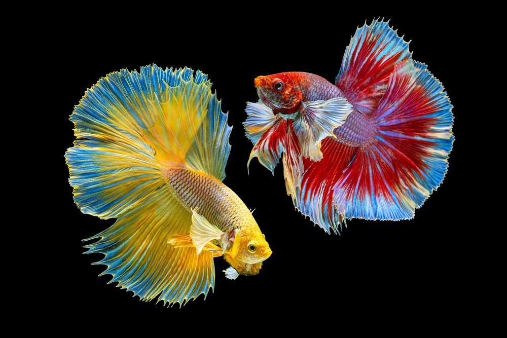 キャリアブレイクでは何するといい?自己成長に向けた時間の過ごし方について