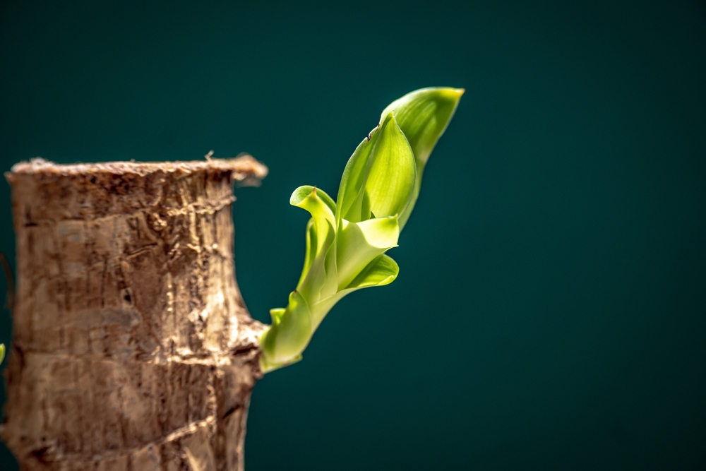 社会人の勉強方法でおすすめはどれ?時間を確保するコツも解説