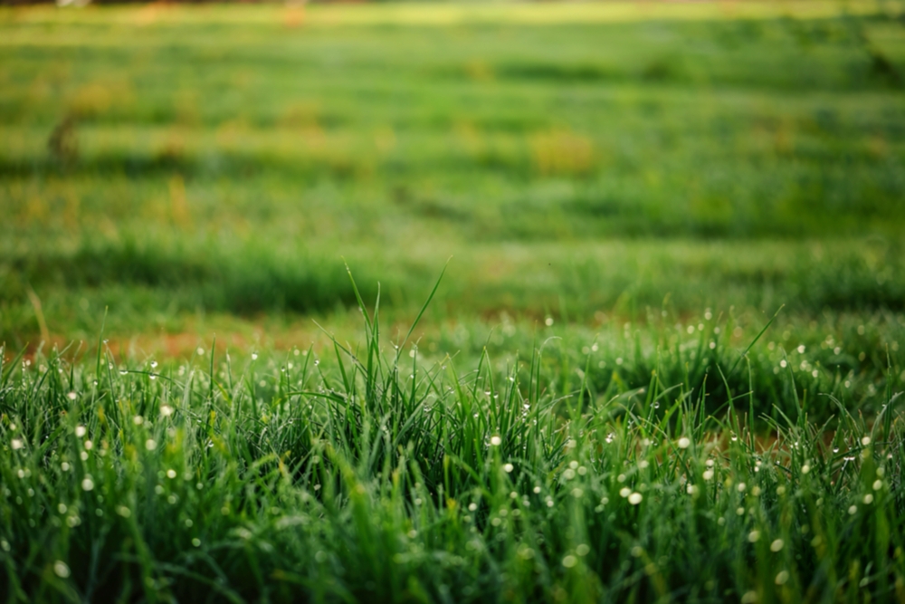 社会人の勉強方法でおすすめはどれ?時間を確保するコツも解説