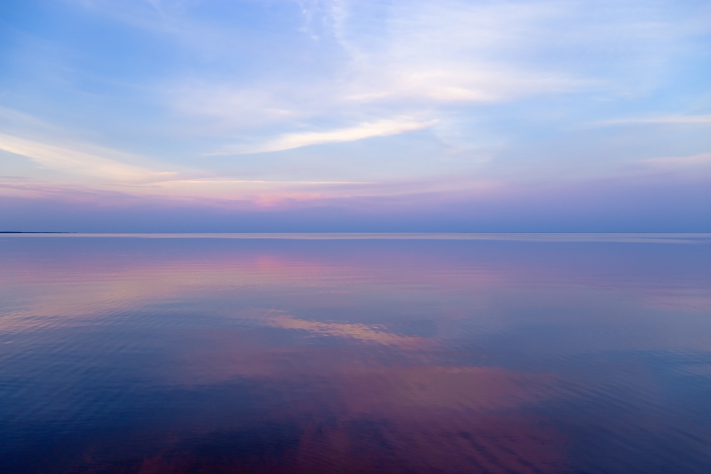 一人行動できない人に共通する心理的特徴・克服する方法について