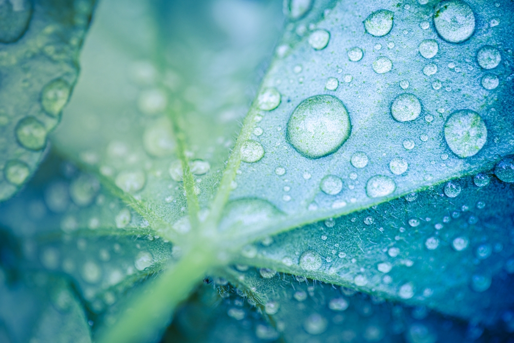 霊感がある人の特徴や共通点・霊感があるメリットやデメリットも解説