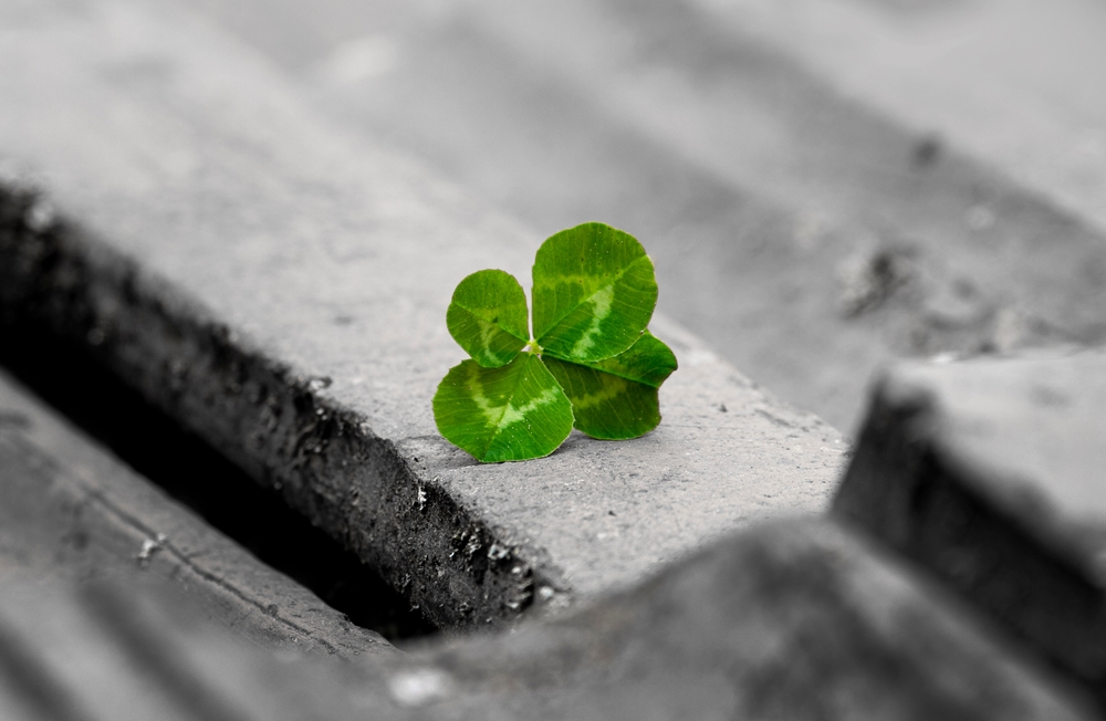 運がいい人の特徴・毎日コレを意識するだけで運がいい人になれるかも?