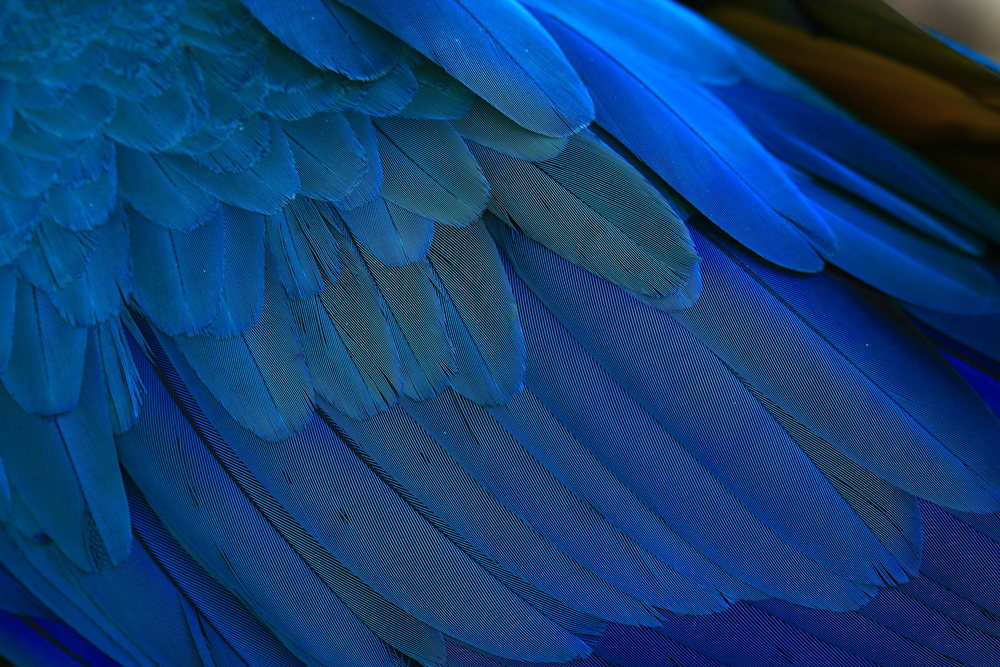 スターゲートとは特別な期間・スピリチュアルな意味や過ごし方など徹底解説